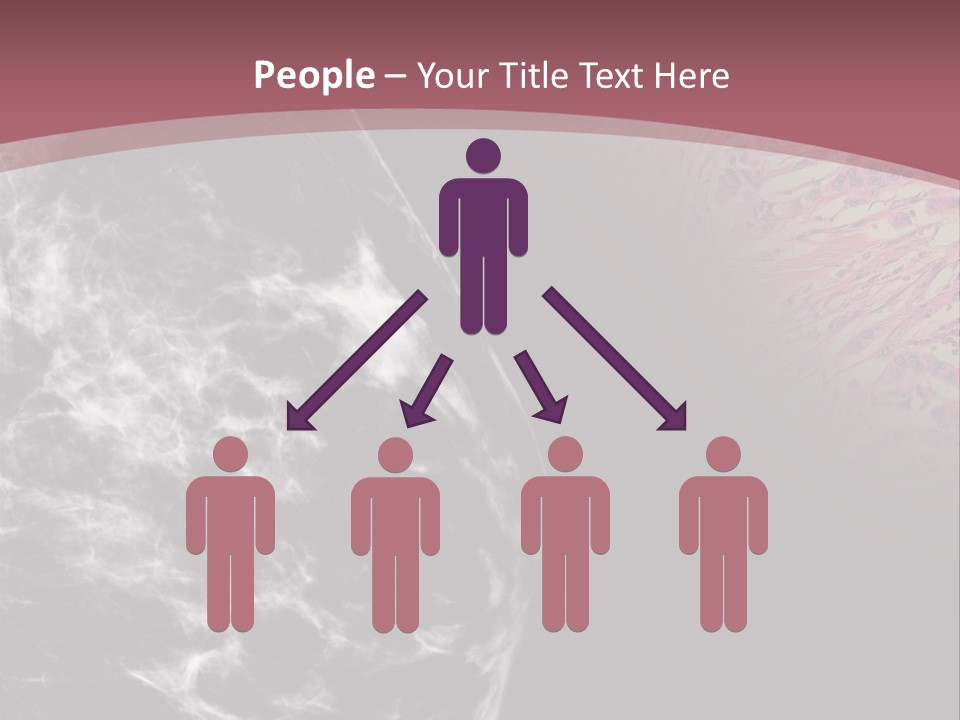 Silver Sand Mane PowerPoint Template