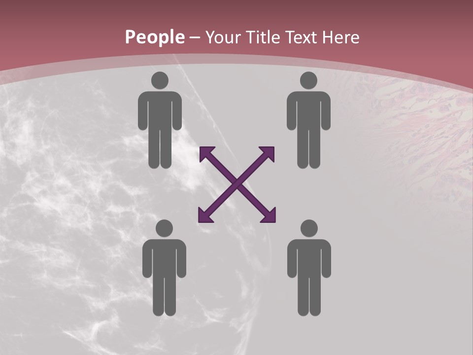 Silver Sand Mane PowerPoint Template