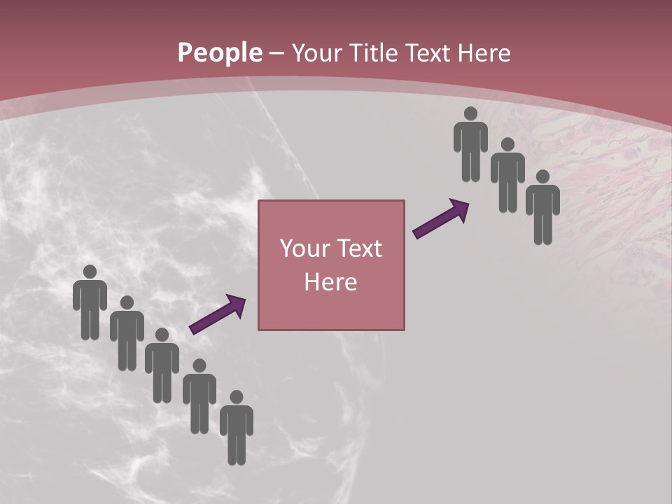 Silver Sand Mane PowerPoint Template