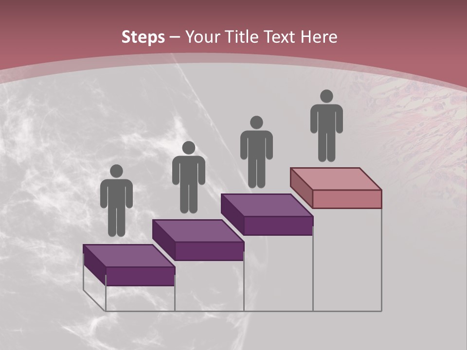 Silver Sand Mane PowerPoint Template