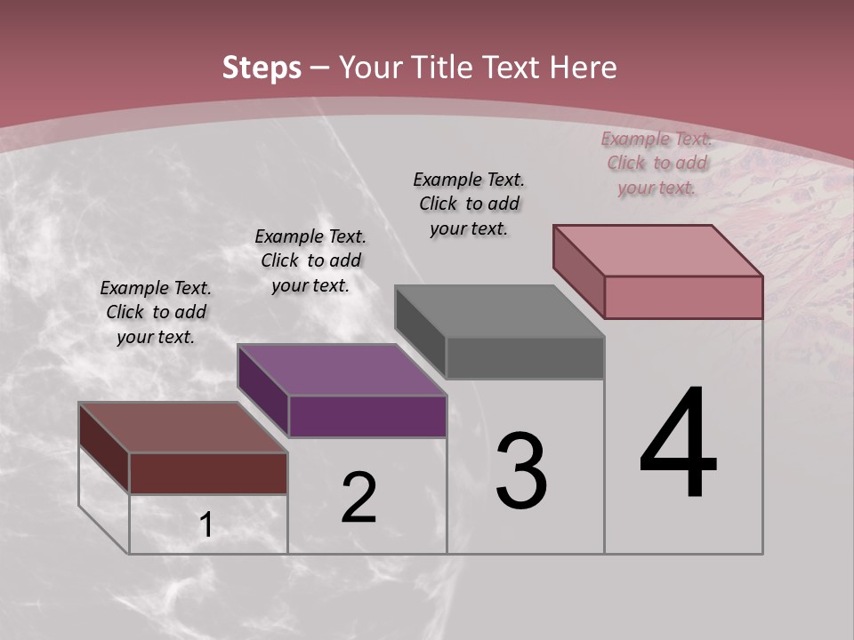 Silver Sand Mane PowerPoint Template