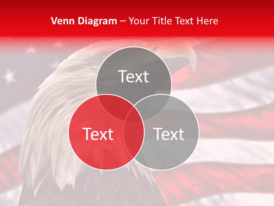 Roof Quarter Clip PowerPoint Template