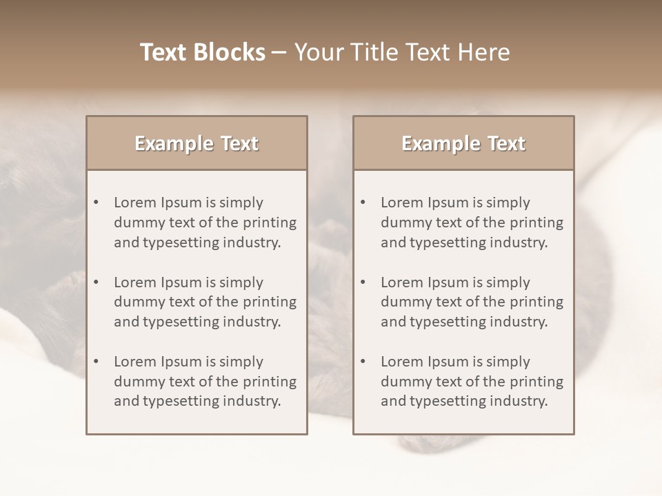 Animals Play Mammal PowerPoint Template