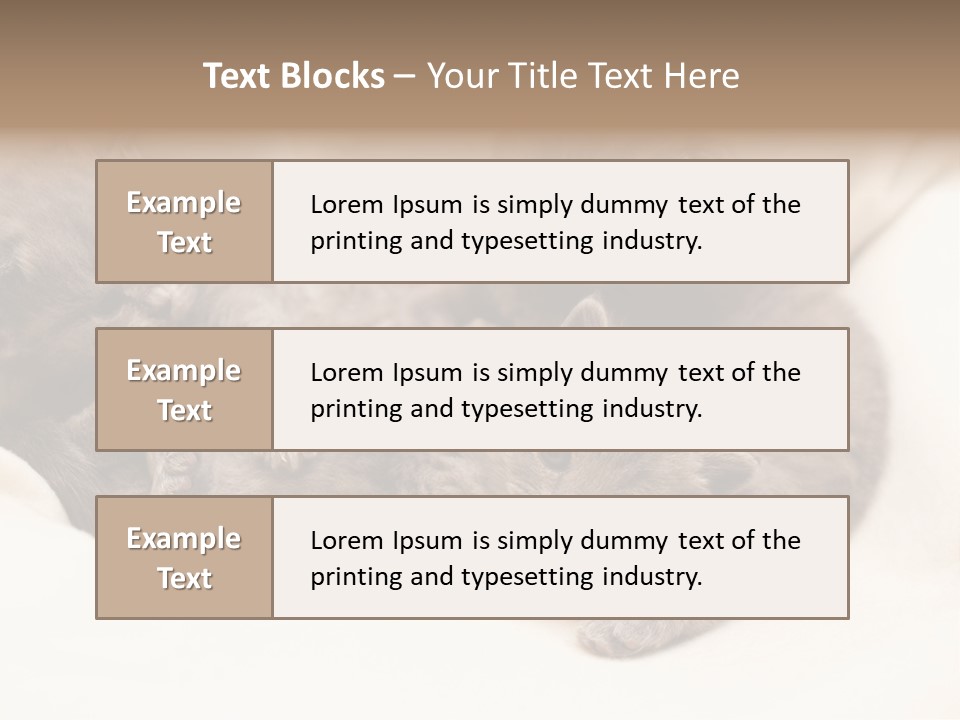 Animals Play Mammal PowerPoint Template