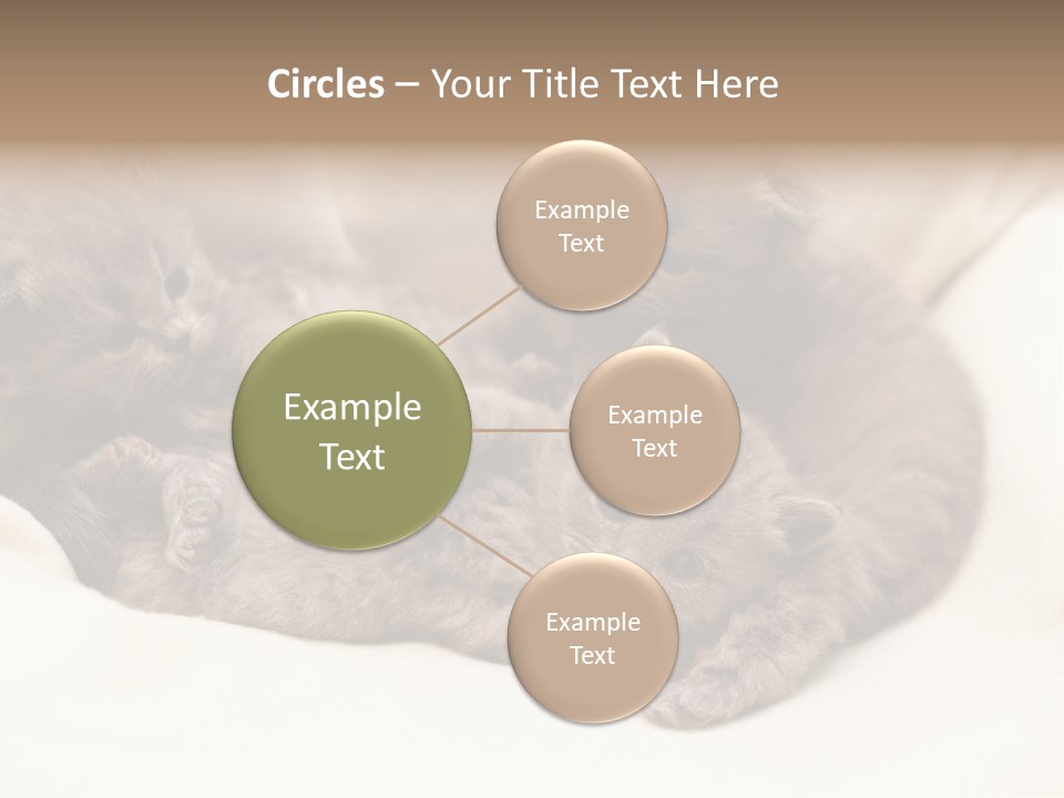 Animals Play Mammal PowerPoint Template