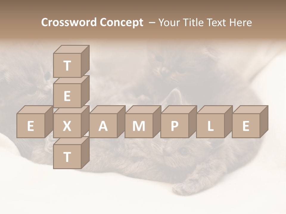 Animals Play Mammal PowerPoint Template