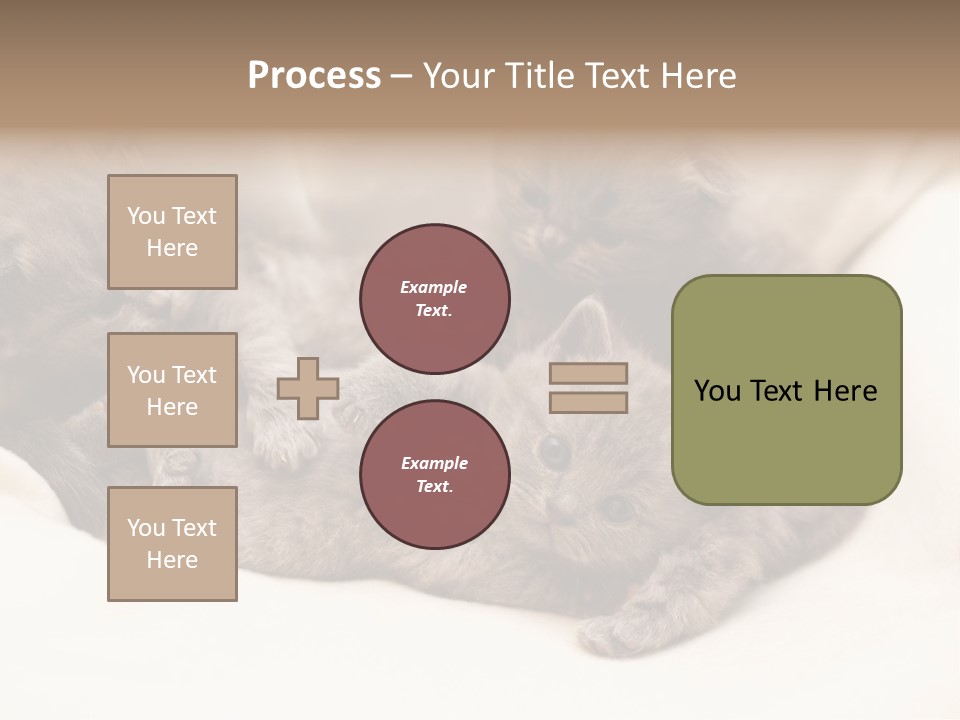Animals Play Mammal PowerPoint Template