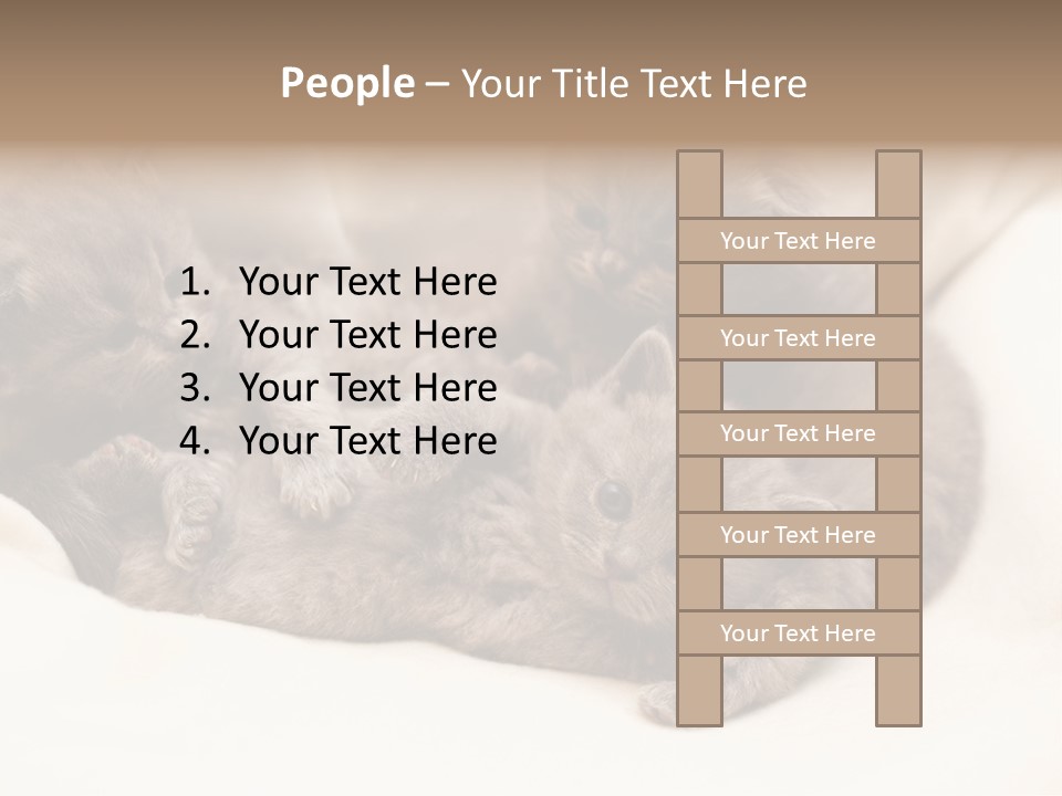 Animals Play Mammal PowerPoint Template