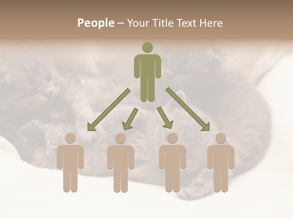 Animals Play Mammal PowerPoint Template