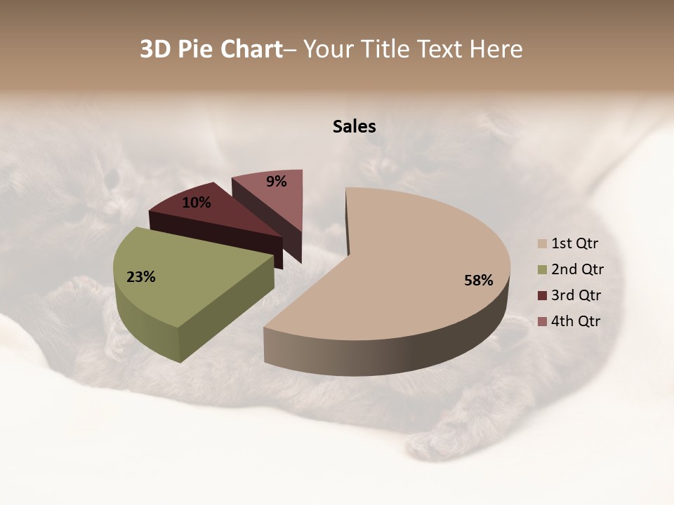 Animals Play Mammal PowerPoint Template