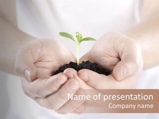 Gardening Rise Flower PowerPoint Template