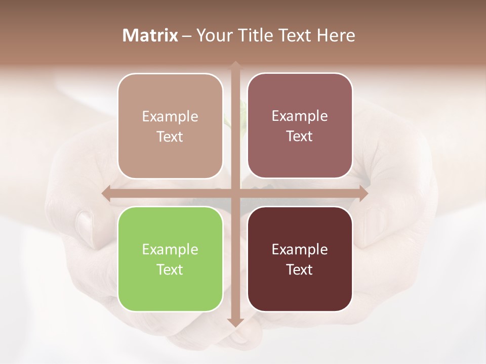 Gardening Rise Flower PowerPoint Template