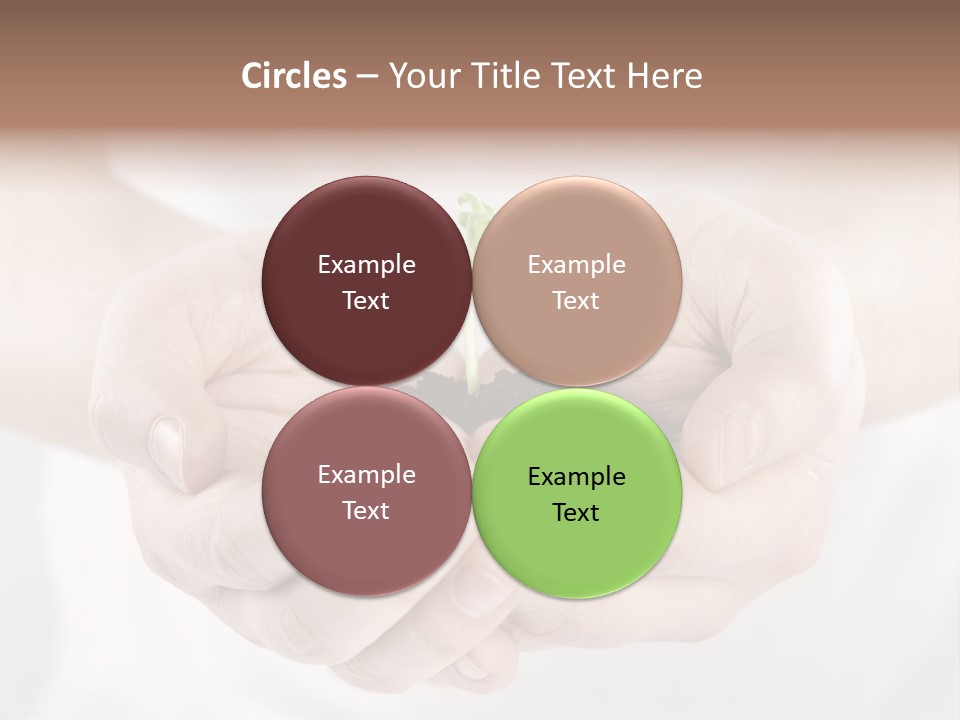 Gardening Rise Flower PowerPoint Template