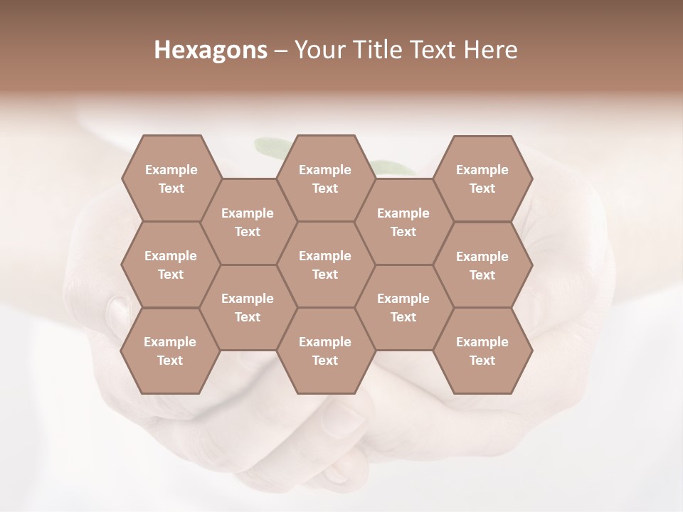 Gardening Rise Flower PowerPoint Template