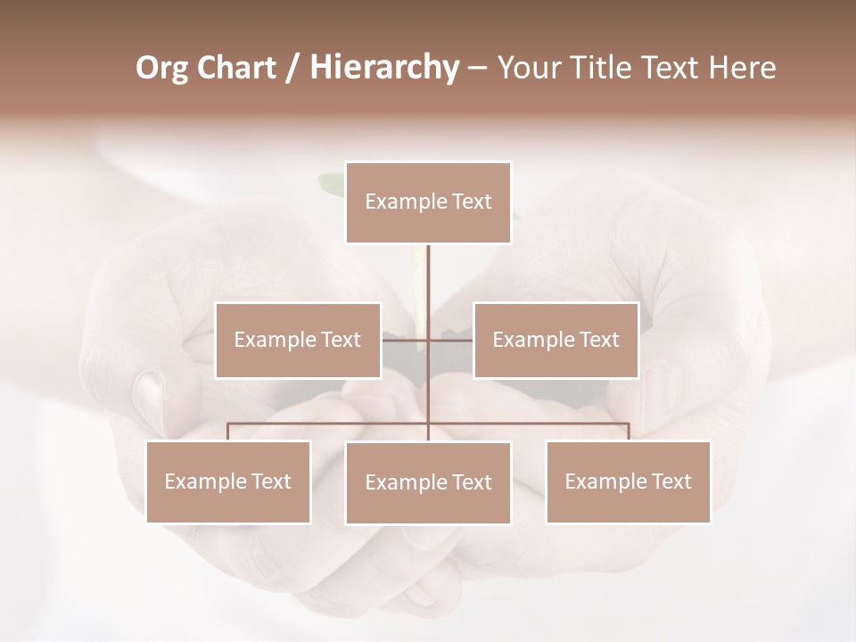 Gardening Rise Flower PowerPoint Template