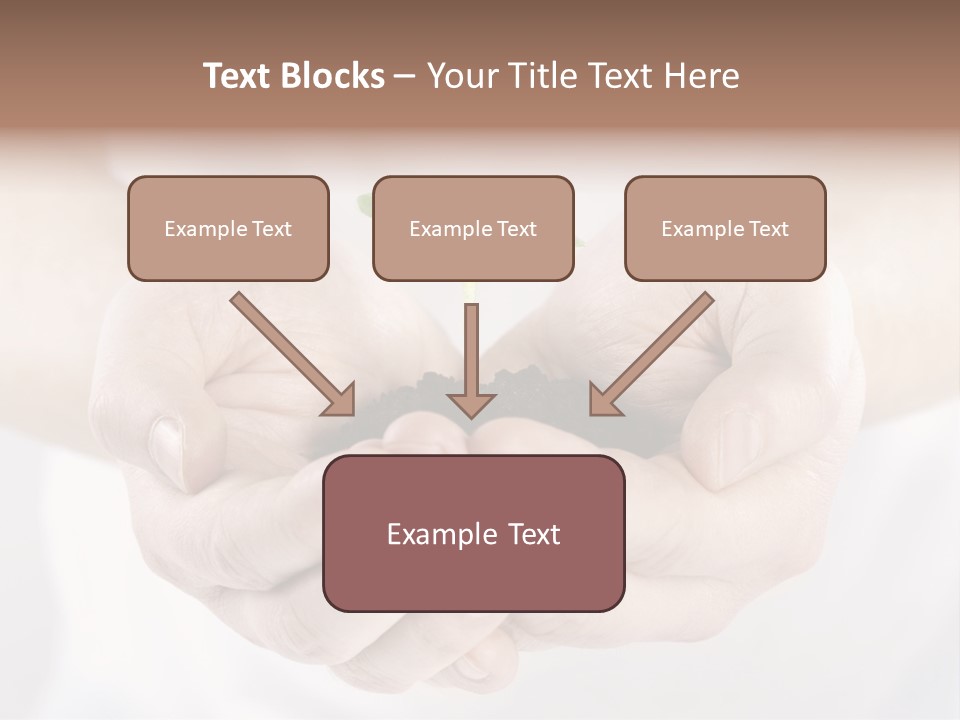 Gardening Rise Flower PowerPoint Template