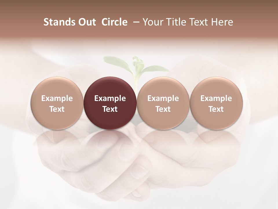 Gardening Rise Flower PowerPoint Template