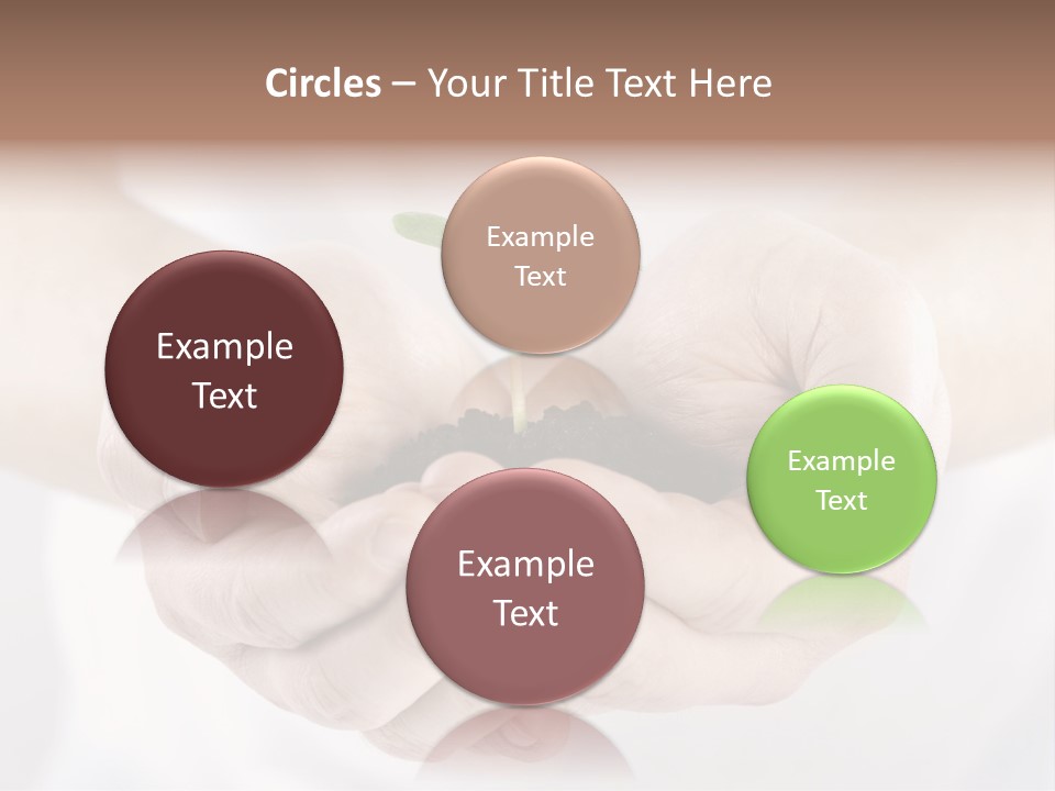 Gardening Rise Flower PowerPoint Template