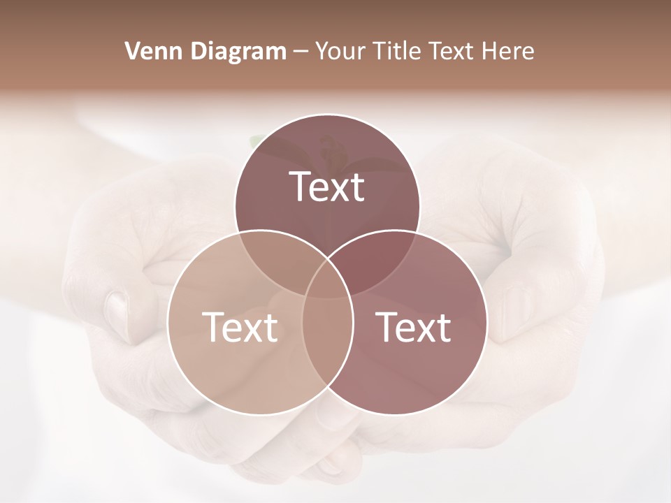 Gardening Rise Flower PowerPoint Template