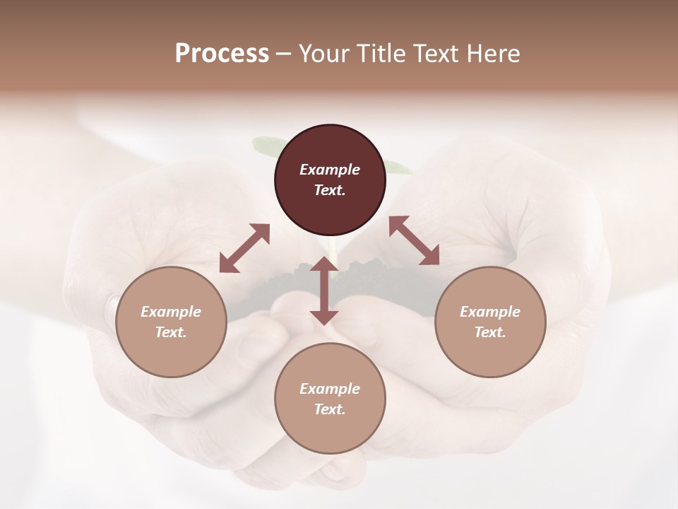 Gardening Rise Flower PowerPoint Template
