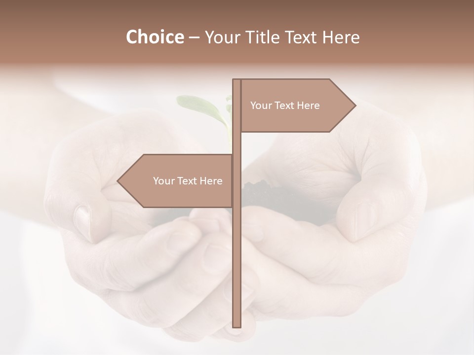 Gardening Rise Flower PowerPoint Template