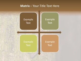 Noctula European Tree PowerPoint Template