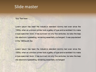 Noctula European Tree PowerPoint Template