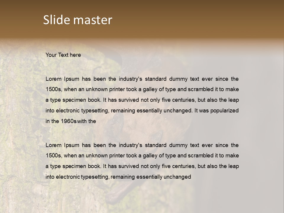 Noctula European Tree PowerPoint Template