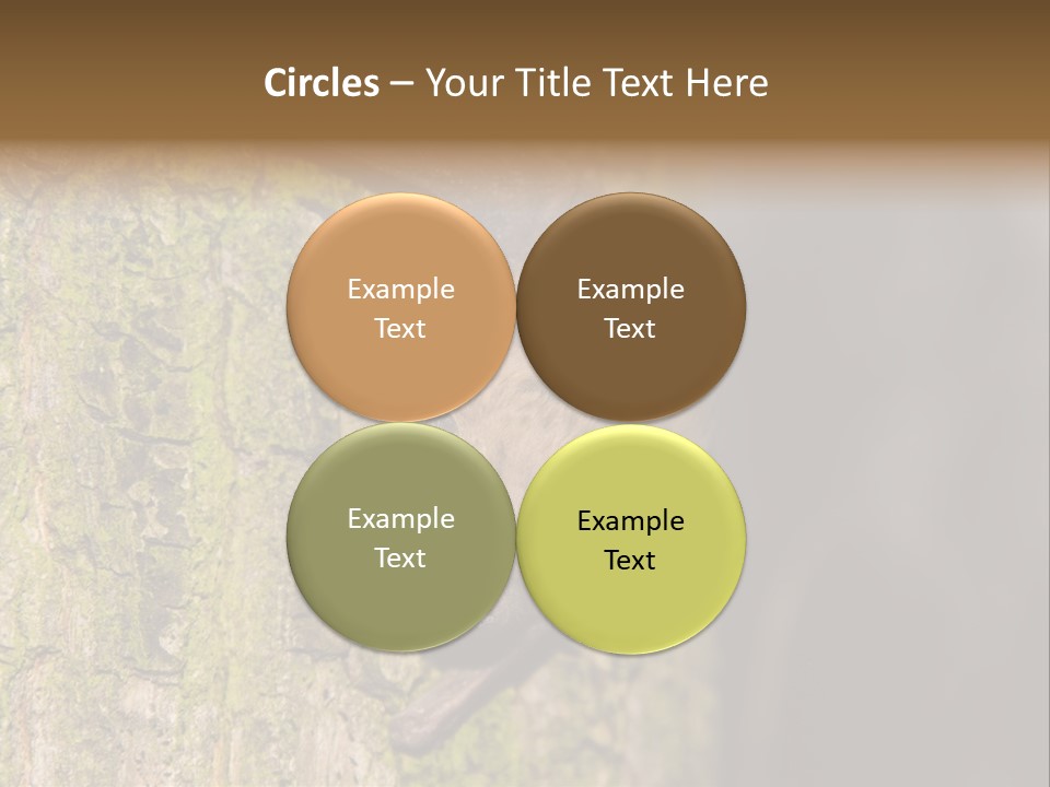 Noctula European Tree PowerPoint Template