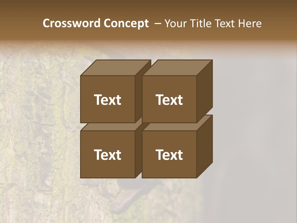 Noctula European Tree PowerPoint Template