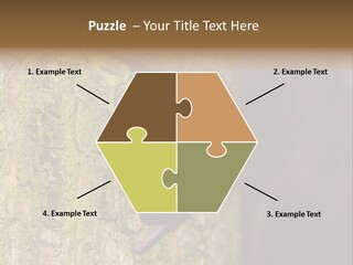 Noctula European Tree PowerPoint Template