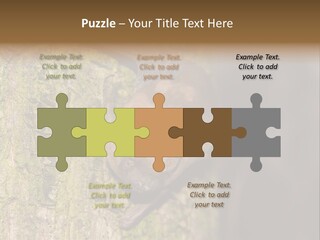 Noctula European Tree PowerPoint Template