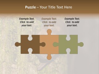 Noctula European Tree PowerPoint Template