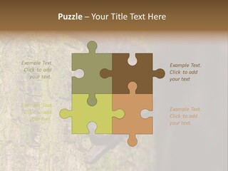Noctula European Tree PowerPoint Template