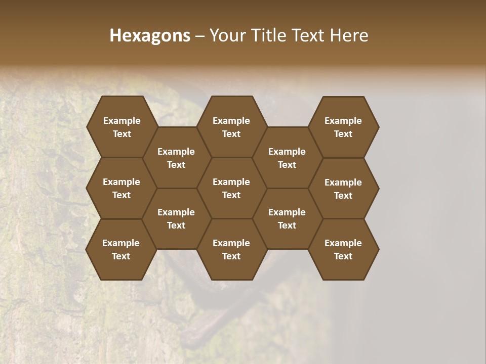 Noctula European Tree PowerPoint Template