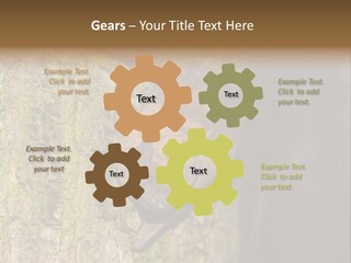 Noctula European Tree PowerPoint Template