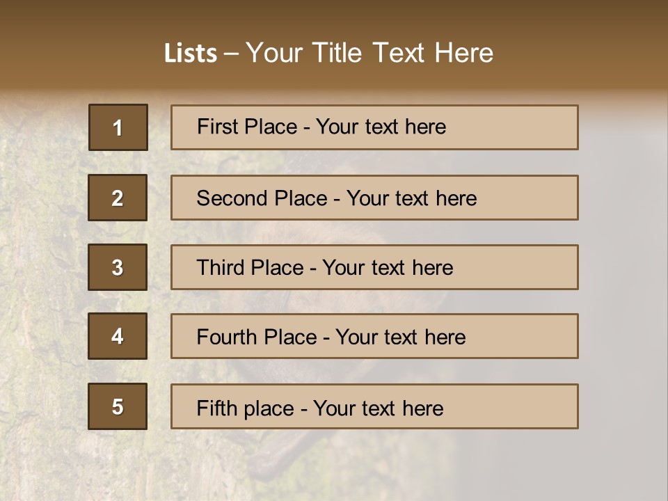 Noctula European Tree PowerPoint Template