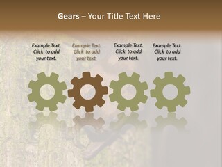 Noctula European Tree PowerPoint Template