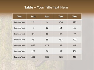 Noctula European Tree PowerPoint Template