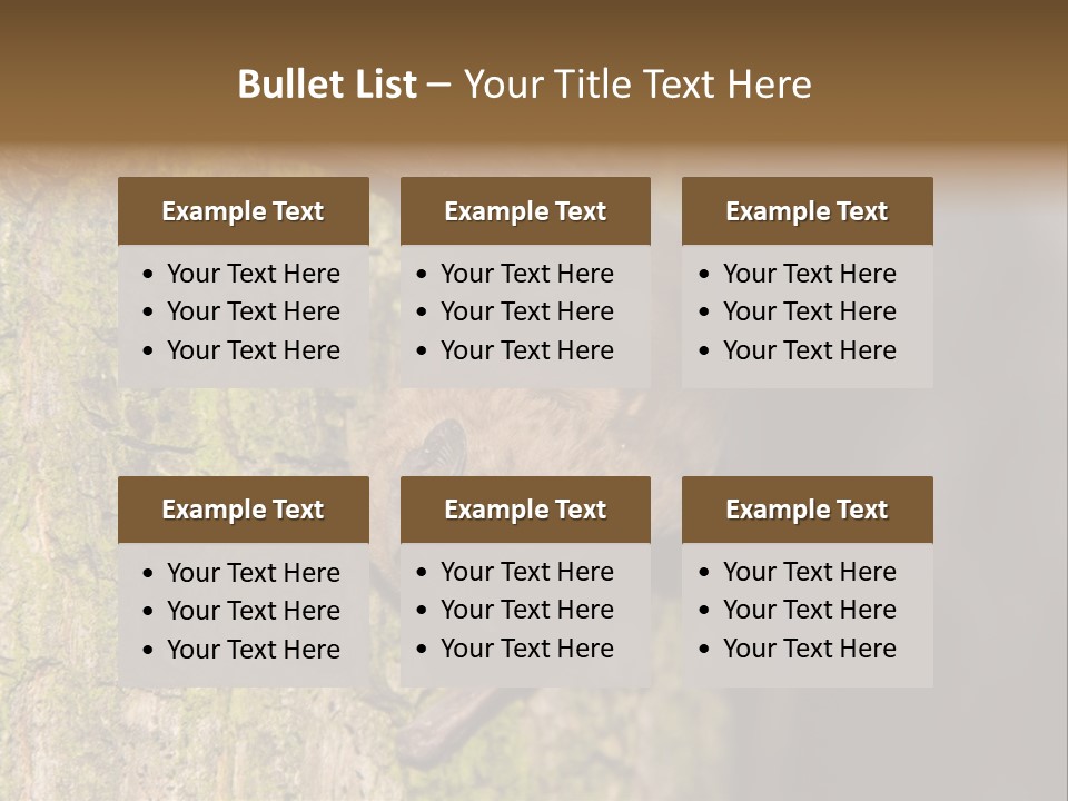 Noctula European Tree PowerPoint Template