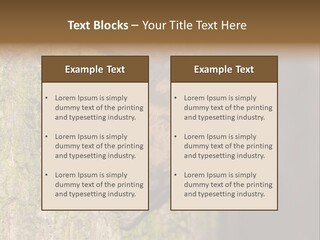 Noctula European Tree PowerPoint Template