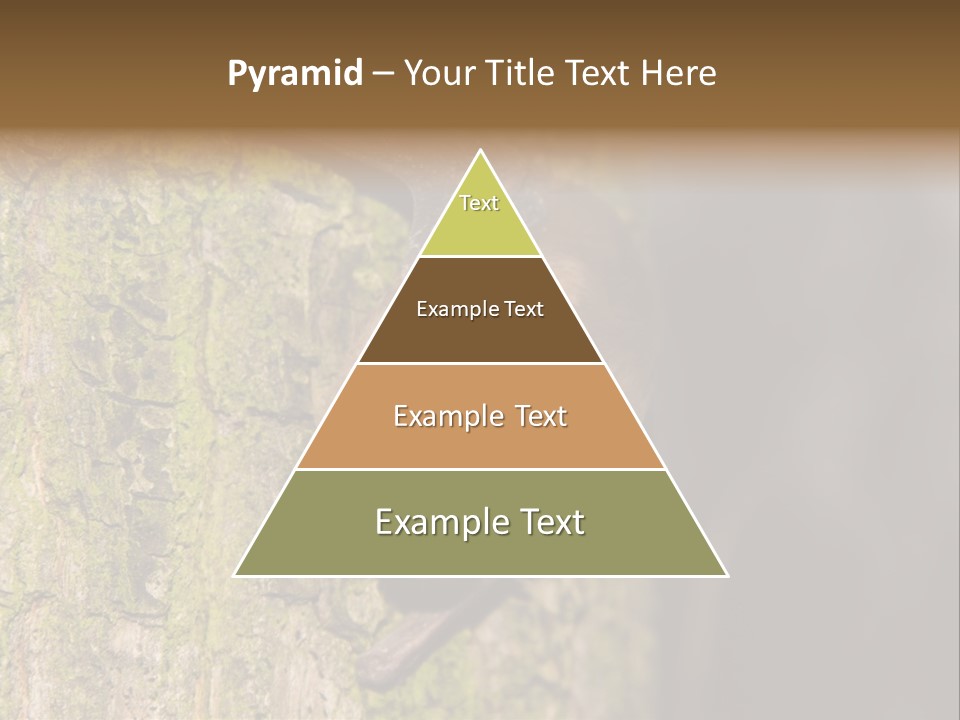Noctula European Tree PowerPoint Template