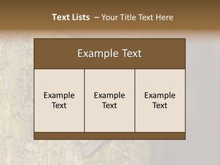Noctula European Tree PowerPoint Template