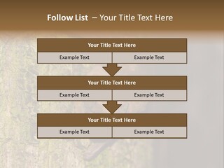 Noctula European Tree PowerPoint Template