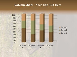 Noctula European Tree PowerPoint Template