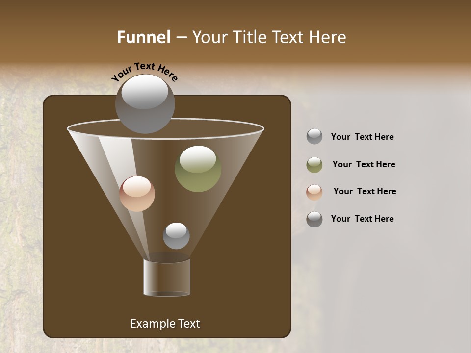 Noctula European Tree PowerPoint Template