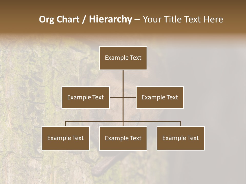 Noctula European Tree PowerPoint Template
