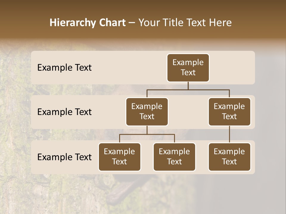 Noctula European Tree PowerPoint Template