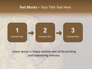 Noctula European Tree PowerPoint Template