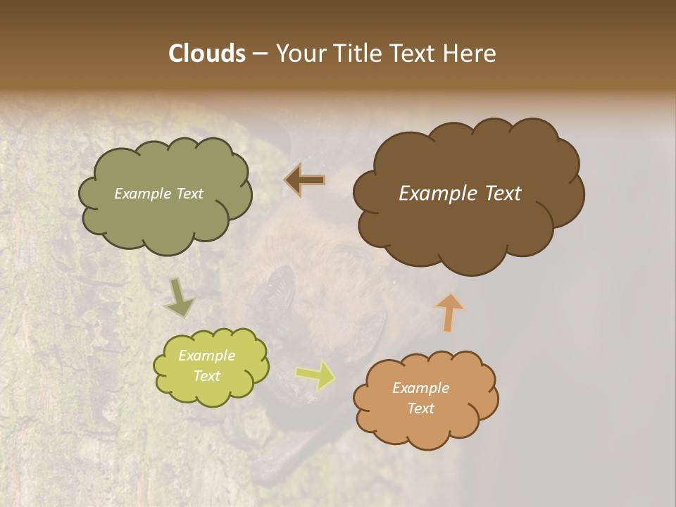 Noctula European Tree PowerPoint Template